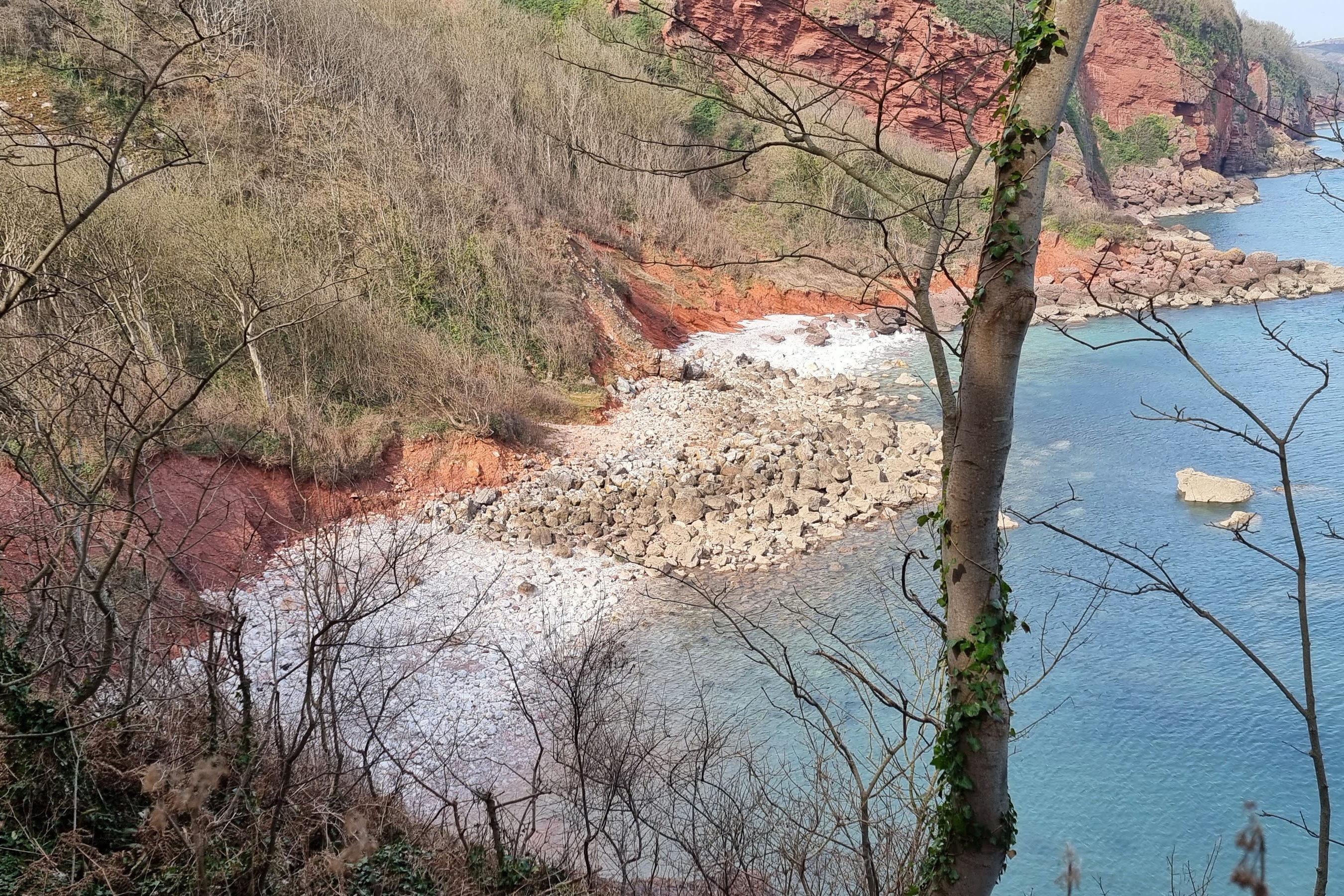 Petitor Beach 2021 Torquay 1