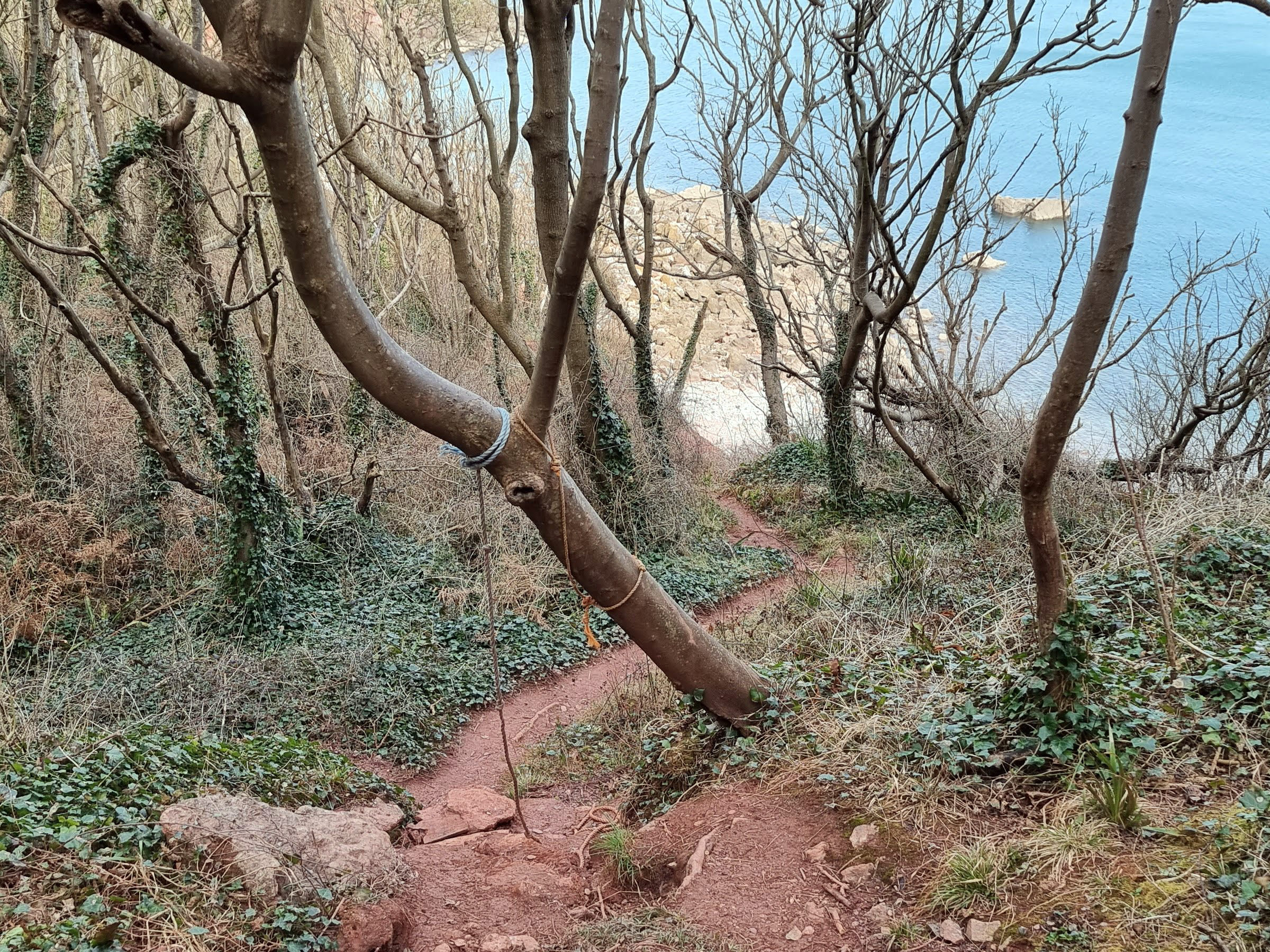 Petitor Beach 2021 Torquay 5