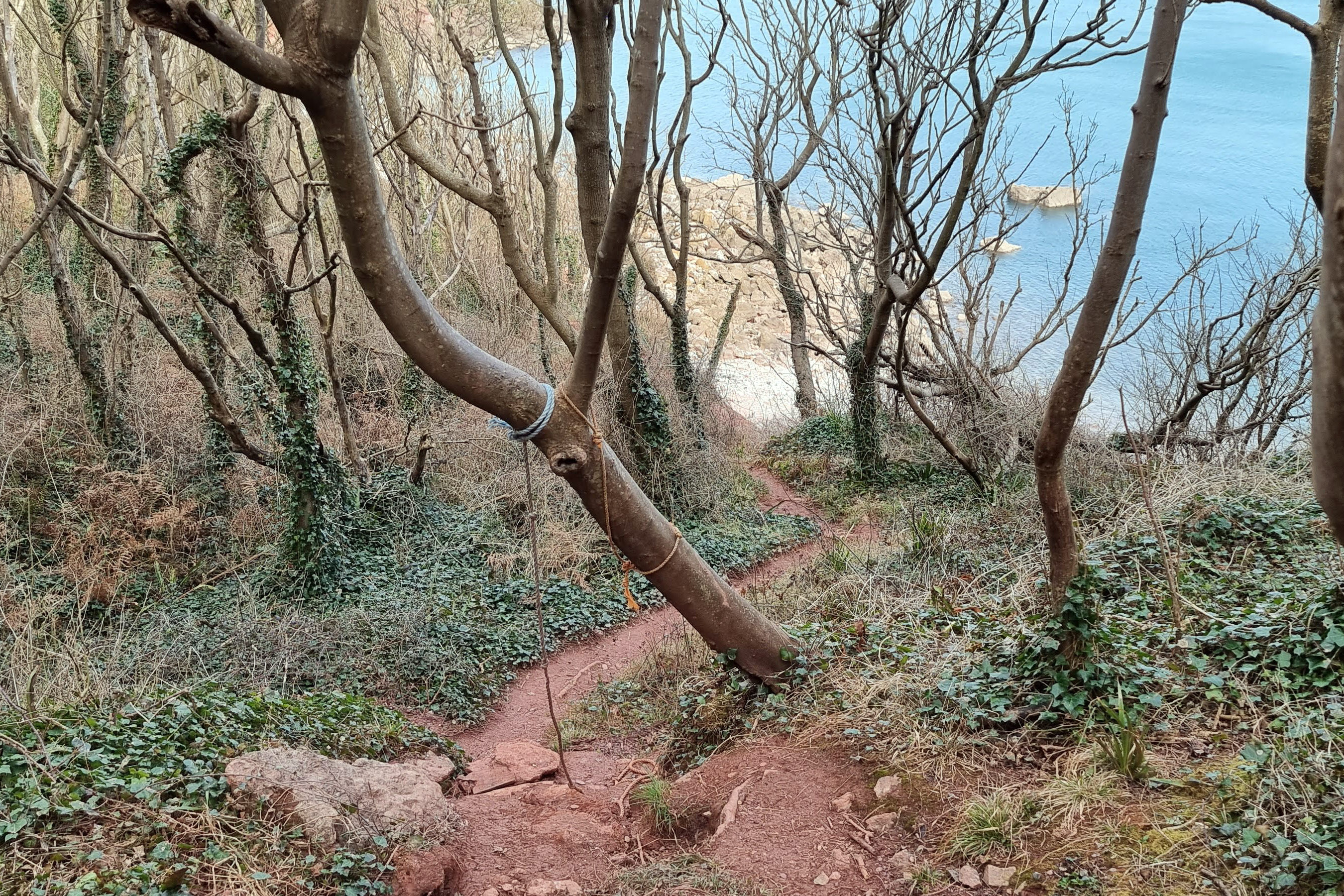 Petitor Beach 2021 Torquay 5