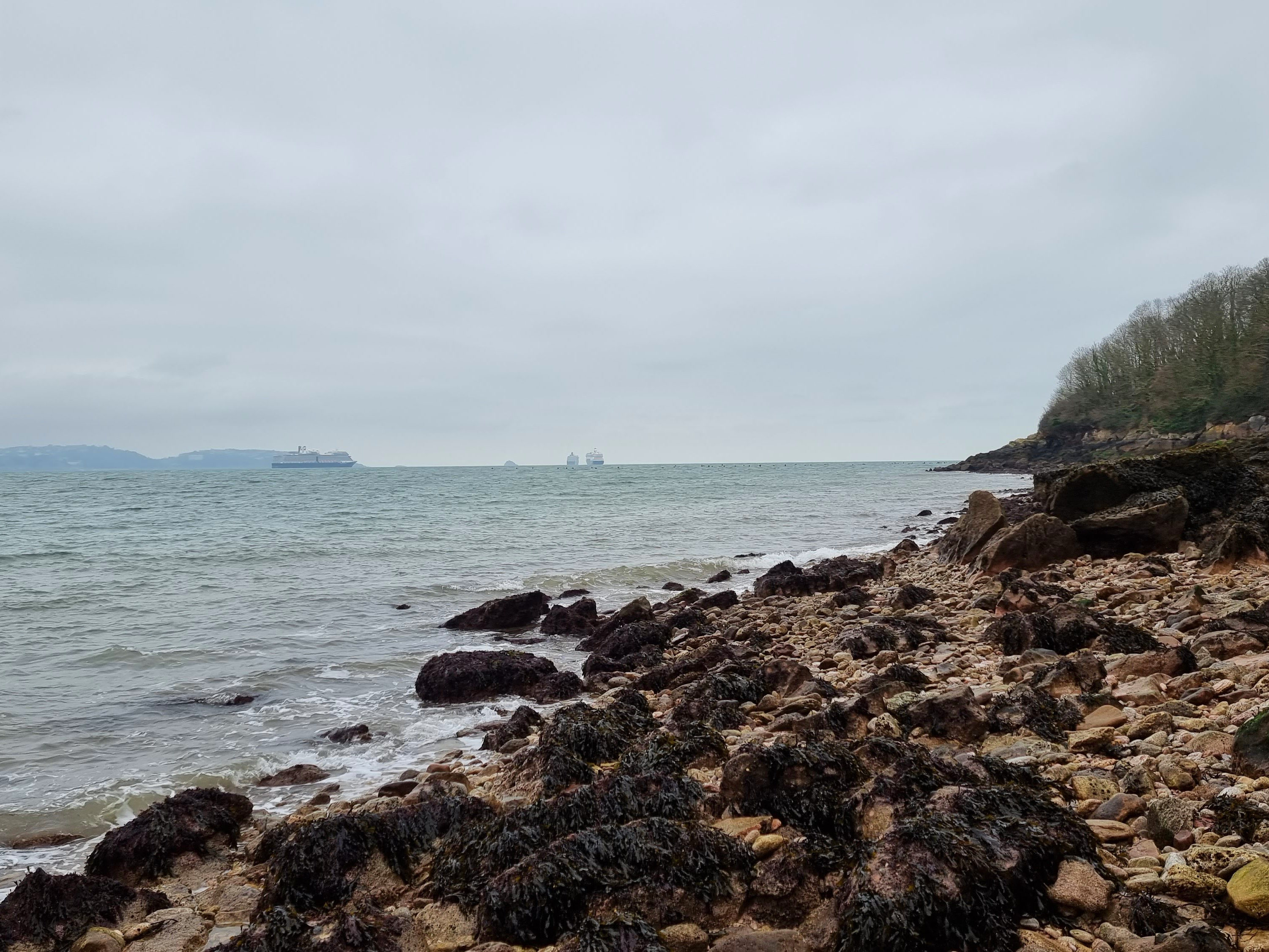 Silver Cove 2021 Brixham 4