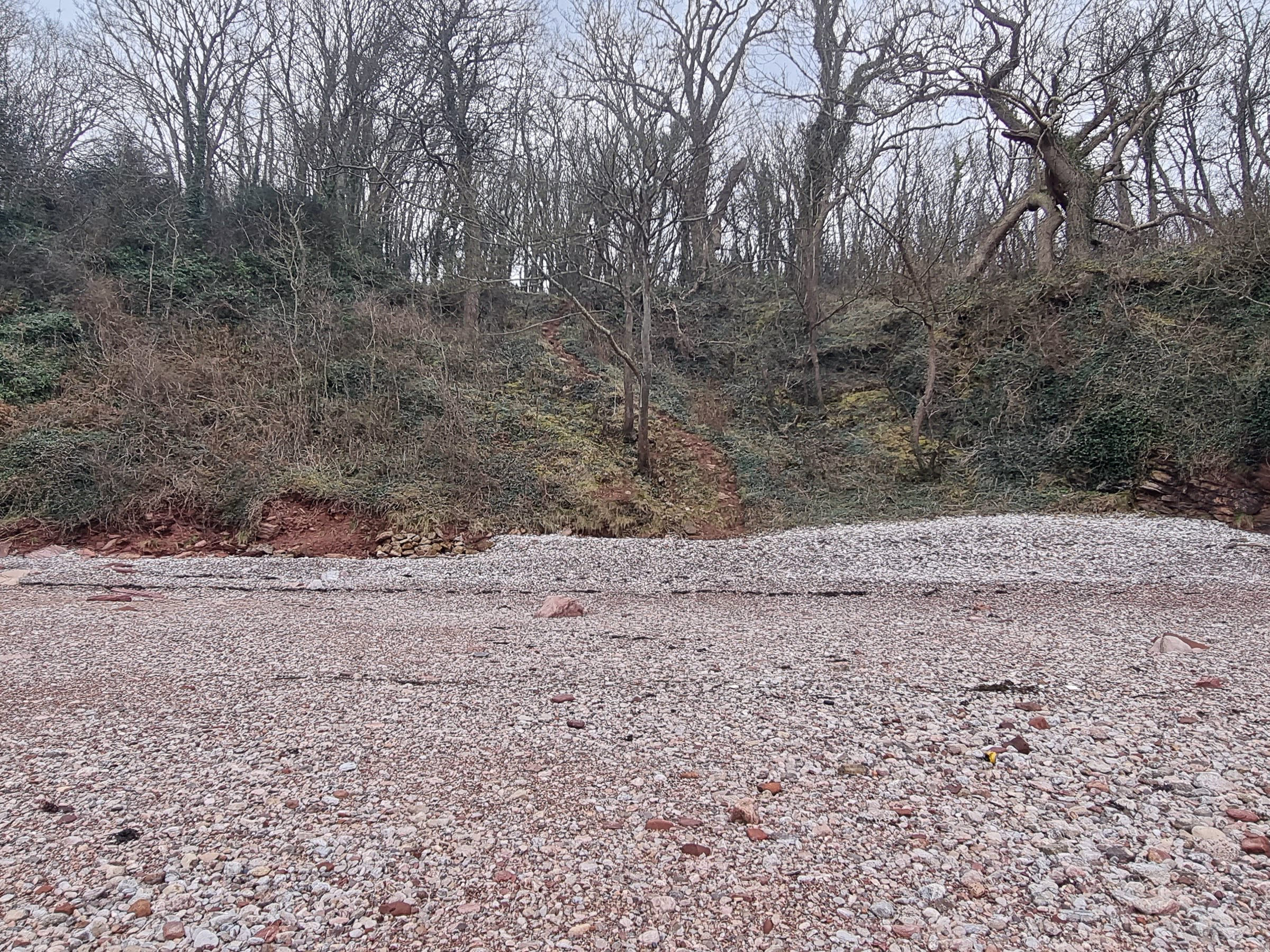 Silver Cove 2021 Brixham 5