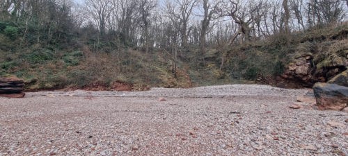 Silver Cove 2021 Brixham 5