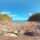 Watcombe Beach 2021 Torquay 5 web