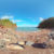 Watcombe Beach 2021 Torquay 5 web