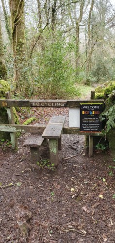 Becky Falls 2019 Dartmoor 15