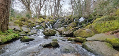 Becky Falls 2019 Dartmoor 6