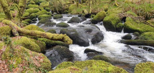Becky Falls 2019 Dartmoor 7