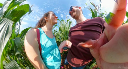 Hope Cove 2019 Kingsbridge 12 Hope Cove 2019 Kingsbridge 12