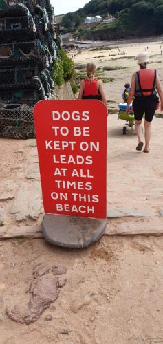 Inner Hope Cove 2019 Kingsbridge 4 Inner Hope Cove 2019 Kingsbridge 4