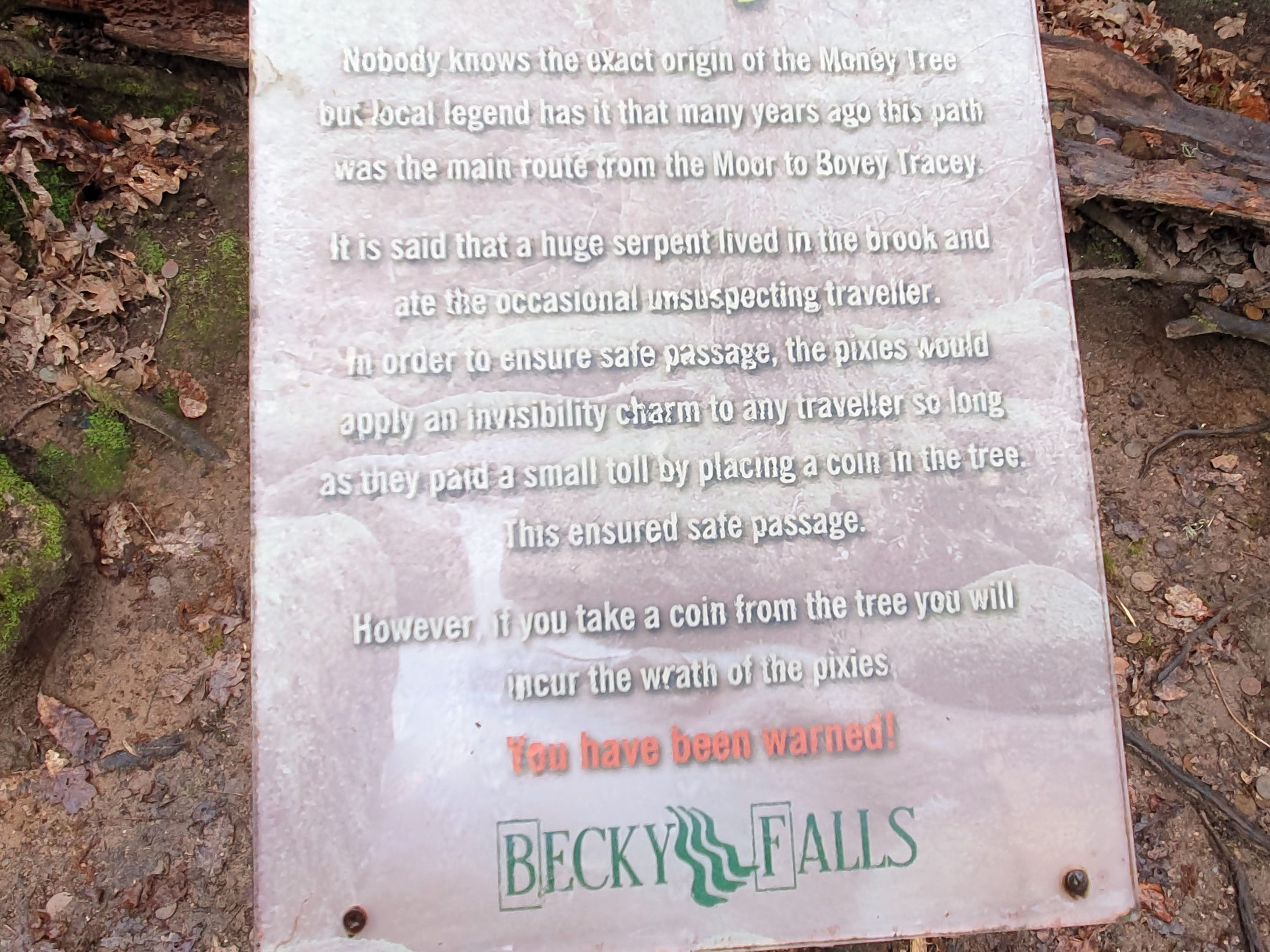 Money Tree Becky Falls 2019 Dartmoor 8