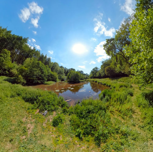 Berry Pomeroy Flying Cam Planet 2020 Totnes 2