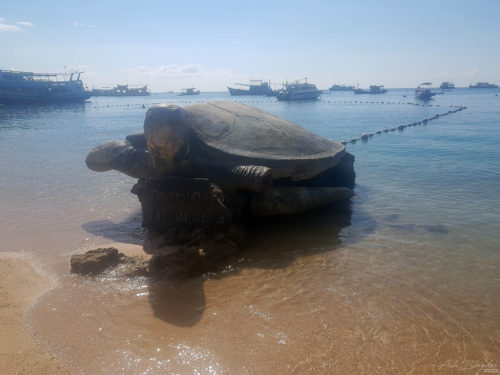 Koh Tao 2018 Thailand 1