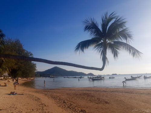 Koh Tao 2018 Thailand 20180306 3