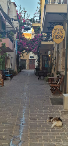 Chania 20220626 Crete 26 Chania 20220626 Crete 26