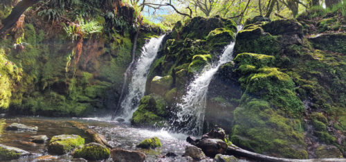 Venford Waterfall 20220508, Dartmoor (8)