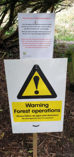 Kennick, Tottiford & Trenchford Reservoirs 2019, Dartmoor (11)