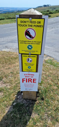 Saddle Tor 20220618, Dartmoor (13)