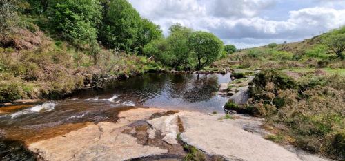 Shilley Pool 20220518, Throwleigh, Dartmoor, Okehampton (5)