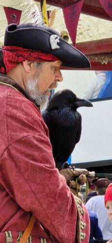 Pirate Festival 20240504, Brixham (7)