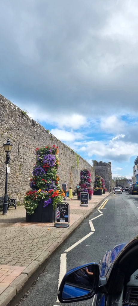 Medieval Wall 20210712, Tenby (1) Medieval Wall 20210712, Tenby (1)