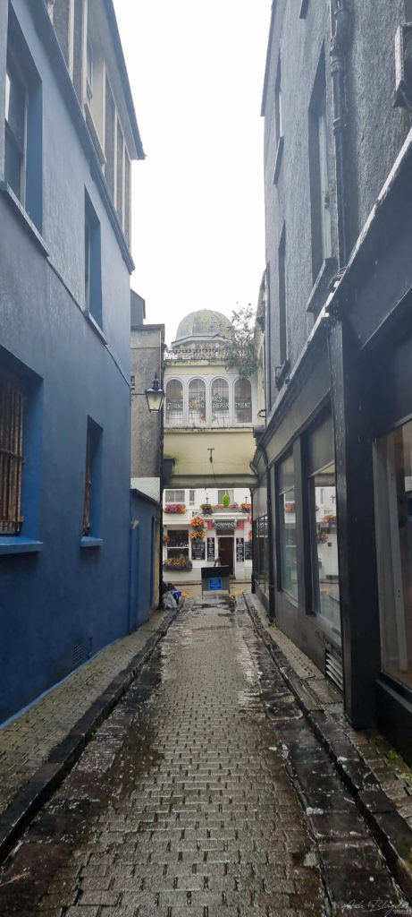 St Nicholas Ln 20210711 Tenby (3) St Nicholas Ln 20210711 Tenby (3)