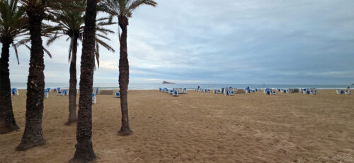 20260321, Benidorm, Spain (25)
20260321, Benidorm, Spain (25)