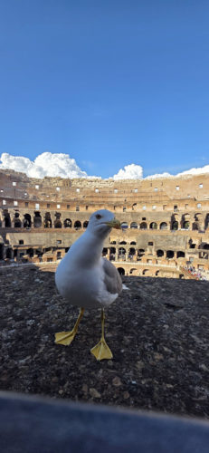 Colosseum 20250326, Rome, Italy (41)