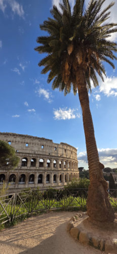 Giardinetto del Monte Oppio 20250326, Colosseum, Rome, Italy (13)