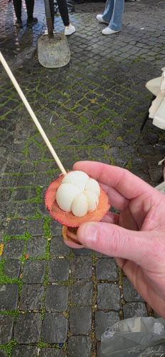 Mangosteen 20250327, Rome