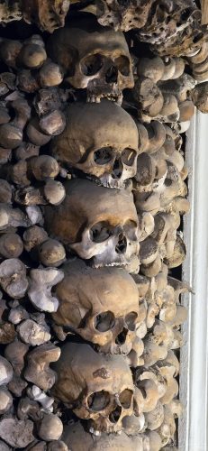 Museo e Cripta dei Cappuccini 20250328, Rome, Italy (122)