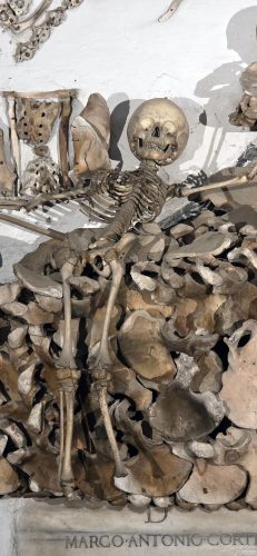 Museo e Cripta dei Cappuccini 20250328, Rome, Italy (91)