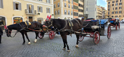 Piazza di Spagna, Spanish Steps 20250325, Rome, Italy (76)