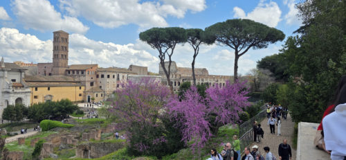 Teatro Del Fontanone 20250326, Roman Forum, Rome, Italy (3)