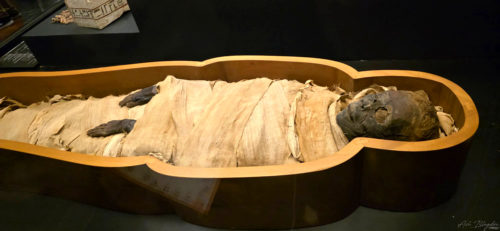 Vatican City 20250327, Rome, Italy (9)