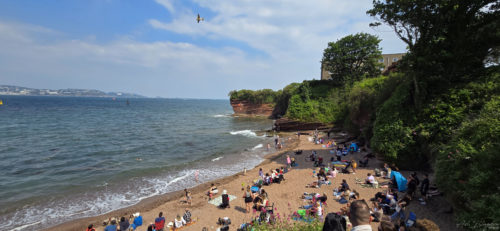 Harvard 20240531, Fairy Cove, English Rivera Airshow, Paignton, Torbay (13)