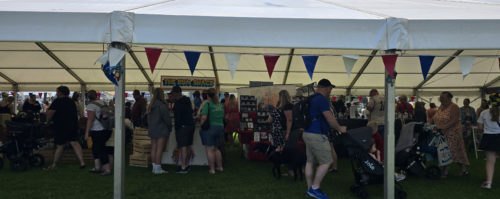 Paignton Green 20240531, English Rivera Airshow, Paignton, Torbay (8)