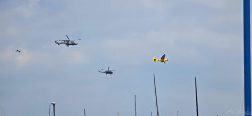 Royal Navy Black Cats, Westland Wasp, Harvard 20240531, English Rivera Airshow, Paignton, Torbay (12)